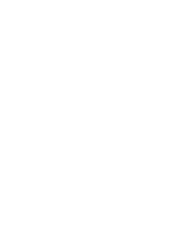 Developer Logo